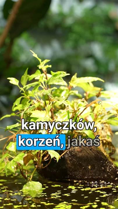 Kadr z filmu: Nasze ekosystemy
