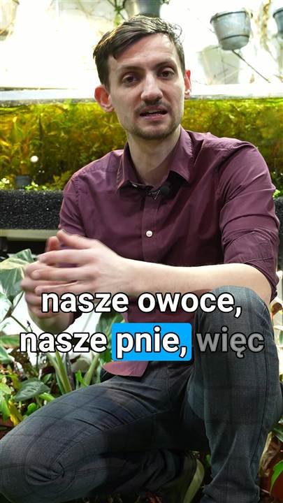 Kadr z filmu: Rośliny według AquaVangardy