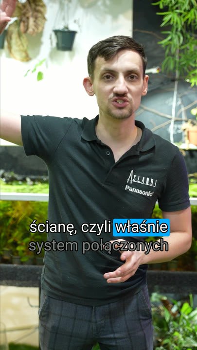 Kadr z filmu: Żywa ściana